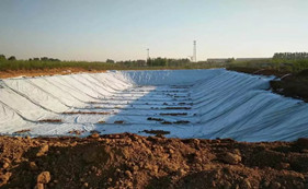 Construction process of artificial lake seepage prevention Geomembrane